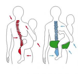 The Best Baby Hip Seat Carriers